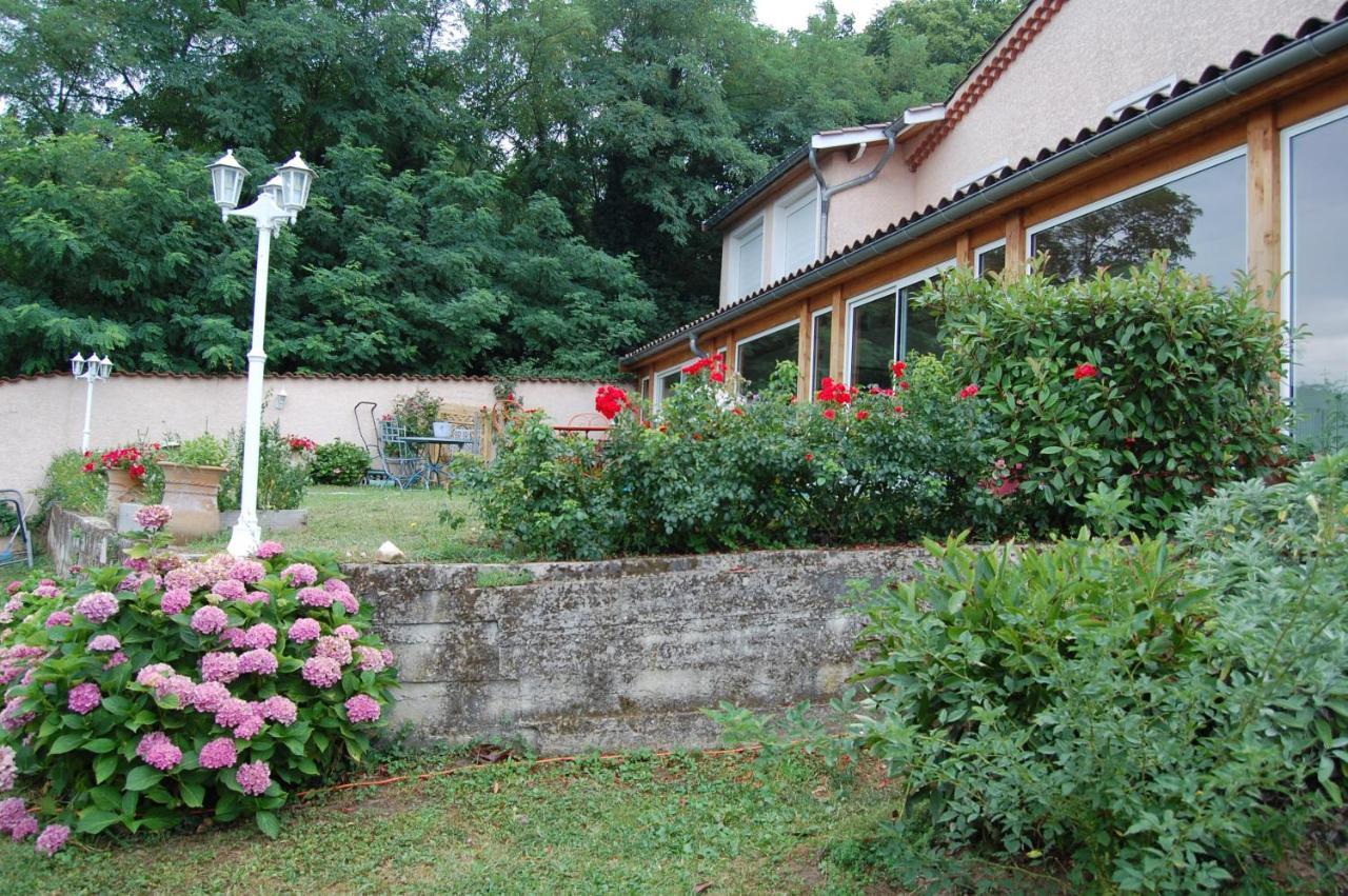 Villa Panoramique Saint-Clair-du-Rhone Dış mekan fotoğraf