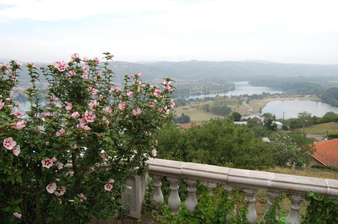Villa Panoramique Saint-Clair-du-Rhone Dış mekan fotoğraf